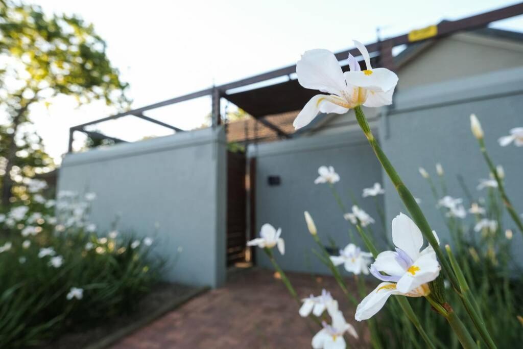 Home In Cape Town-The Homestead ستيلينبوش المظهر الخارجي الصورة